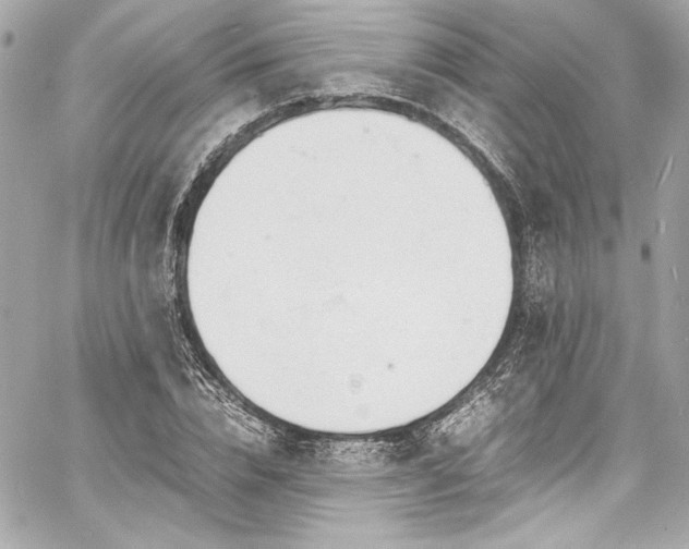 X0000060800832200511101417