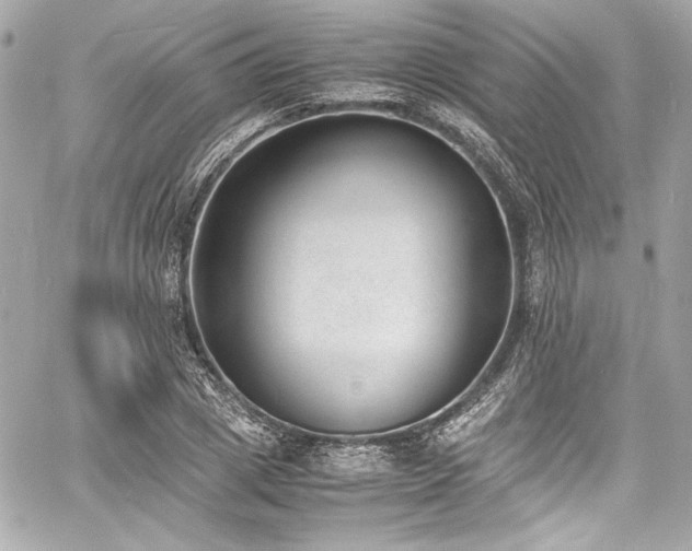 X0000060800833200511101417