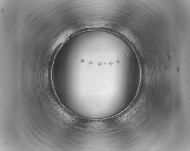 X0000060800834200511101417