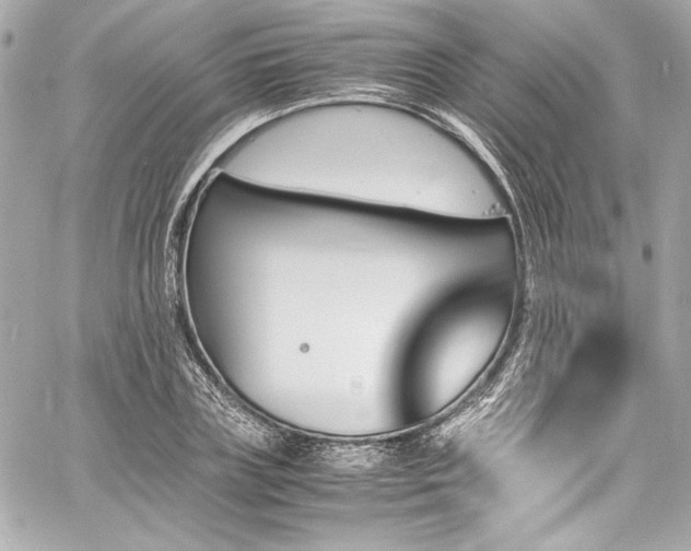 X0000060800835200511101417