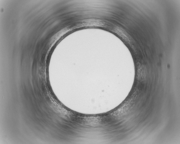 X0000060800836200511101417