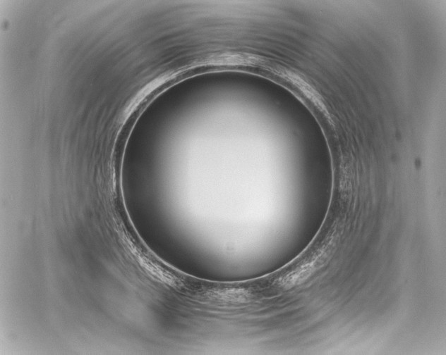 X0000060800837200511101417