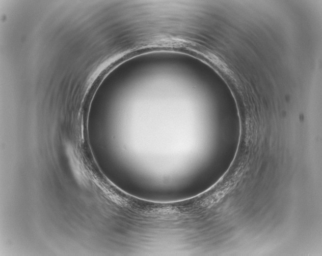 X0000060800838200511101417