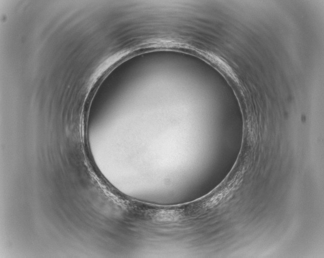 X0000060800839200511101417