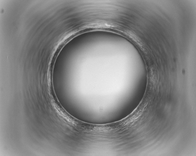 X0000060800840200511101417