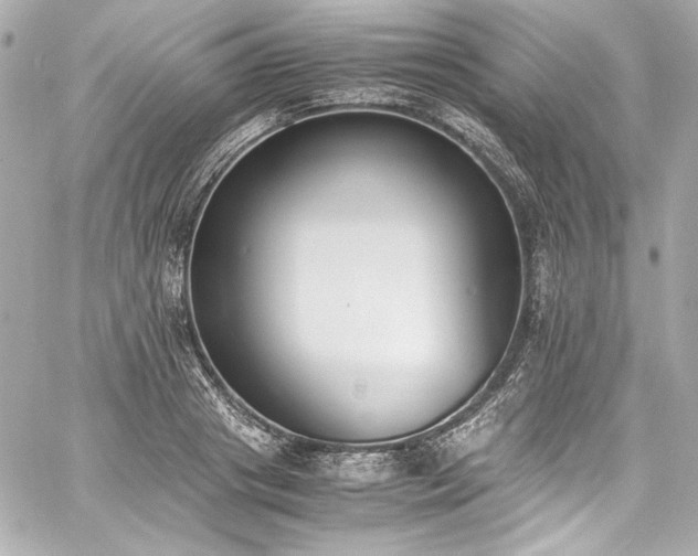 X0000060800841200511101417