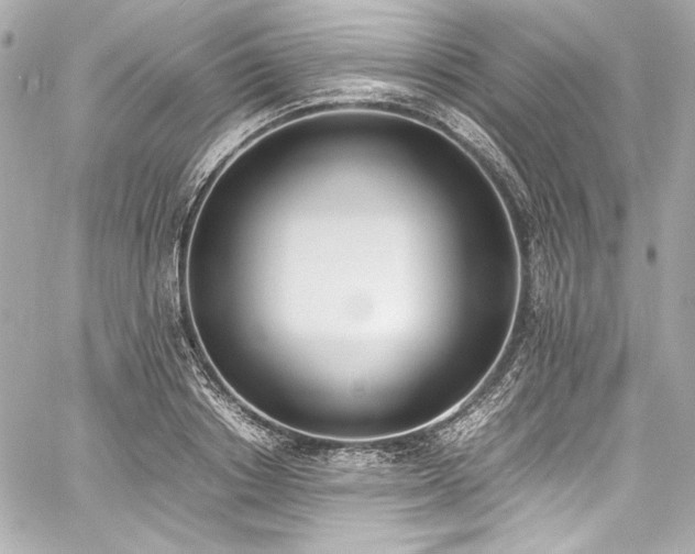 X0000060800842200511101417