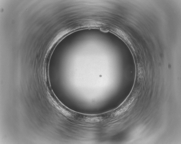 X0000060800843200511101417