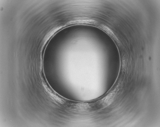 X0000060800844200511101417