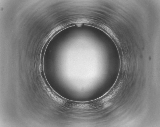 X0000060800845200511101417