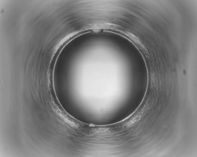 X0000060800846200511101417