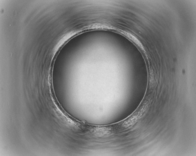 X0000060800847200511101417