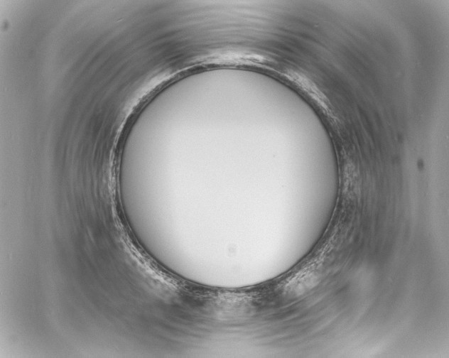 X0000060800848200511101417