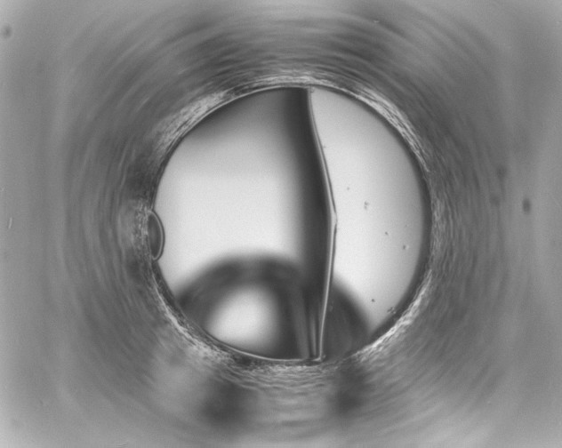 X0000060800849200511101417