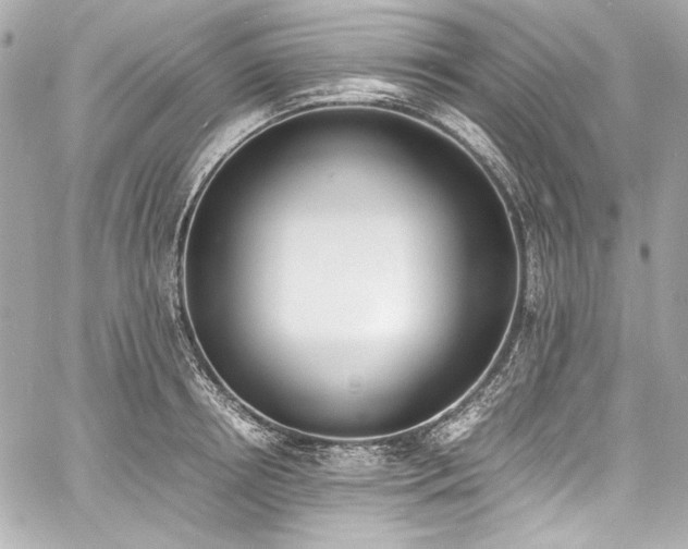 X0000060800850200511101417