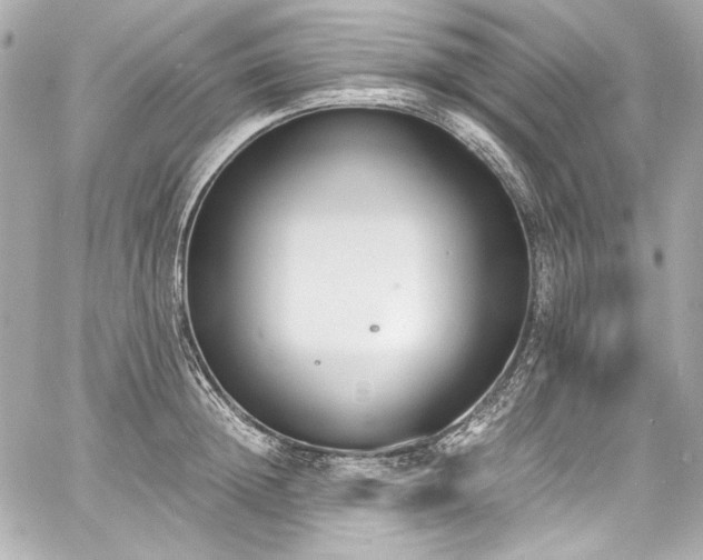 X0000060800852200511101417