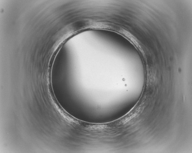 X0000060800853200511101417