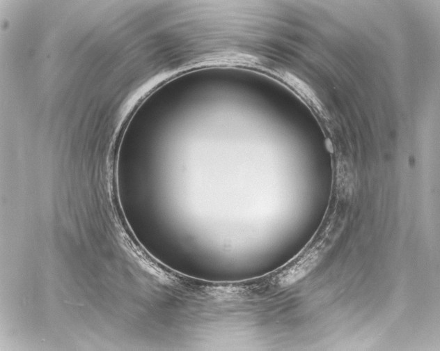 X0000060800854200511101417