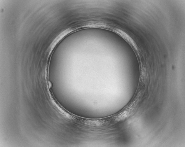 X0000060800855200511101417