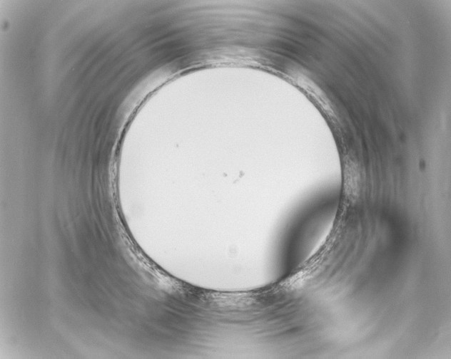 X0000060800856200511101417