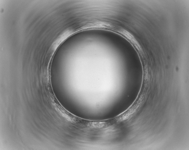 X0000060800858200511101417