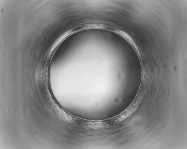 X0000060800859200511101417