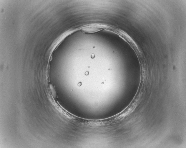 X0000060800860200511101417