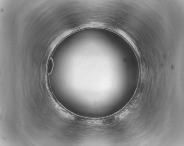 X0000060800861200511101417