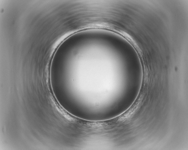 X0000060800862200511101417