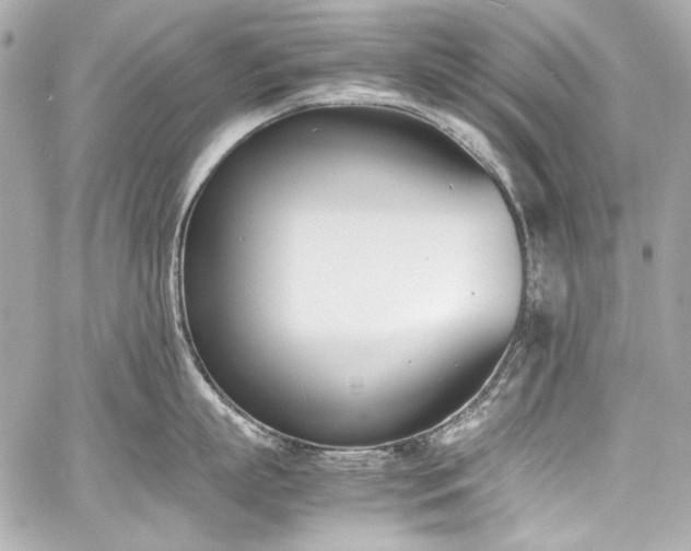 X0000060800863200511101417