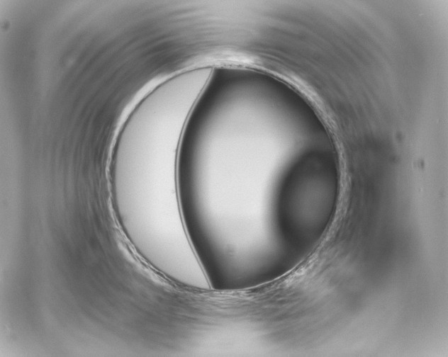 X0000060800864200511101417