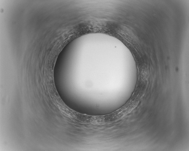 X0000060800865200511101416