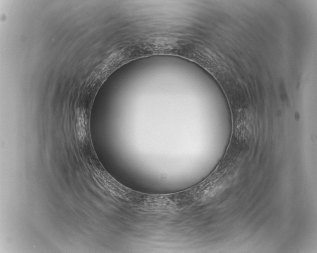 X0000060800866200511101416