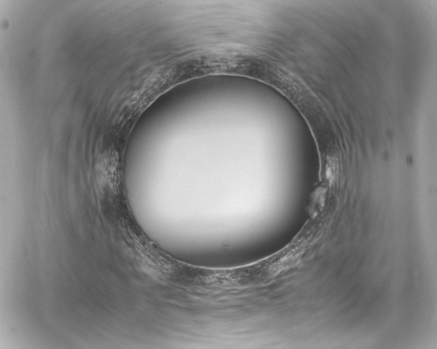 X0000060800867200511101416