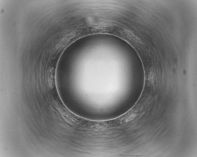 X0000060800868200511101416