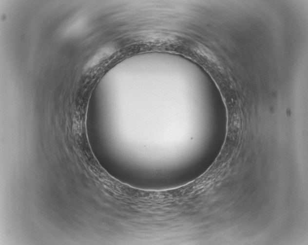 X0000060800869200511101416