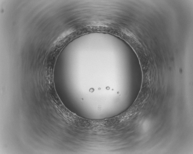 X0000060800870200511101416