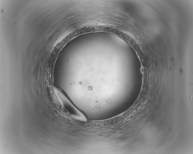 X0000060800871200511101416