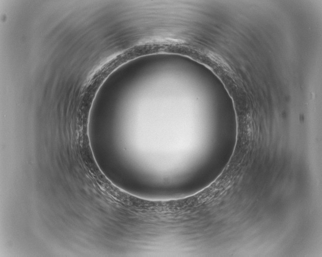 X0000060800872200511101416