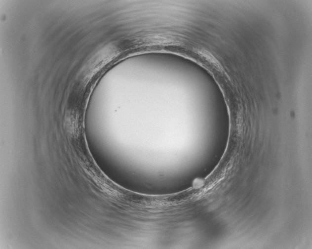 X0000060800873200511101416