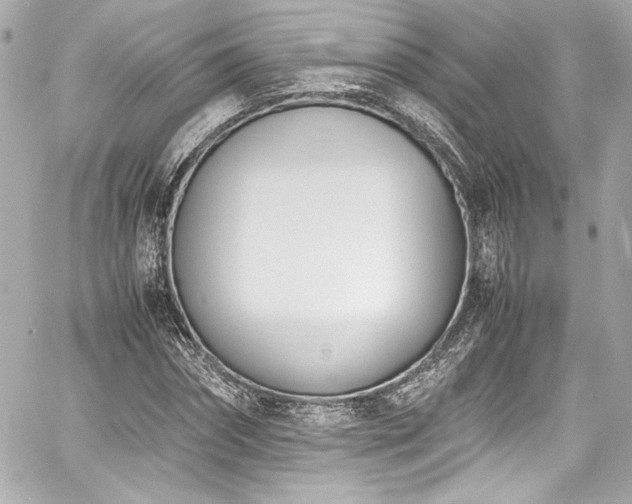 X0000060800874200511101416