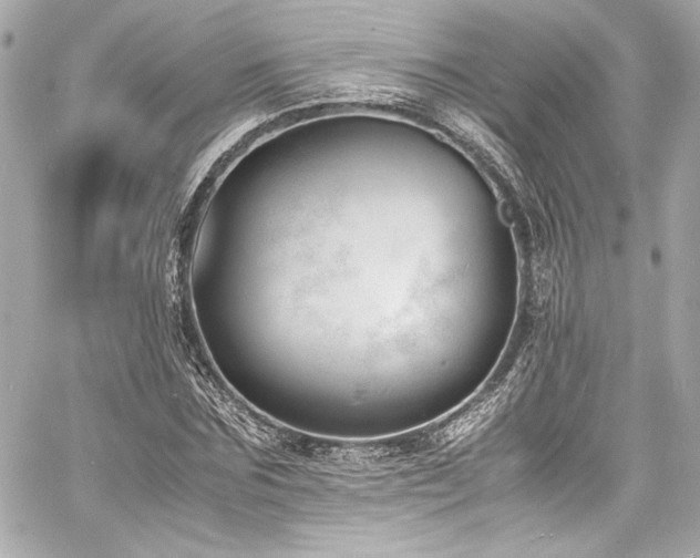 X0000060800875200511101416