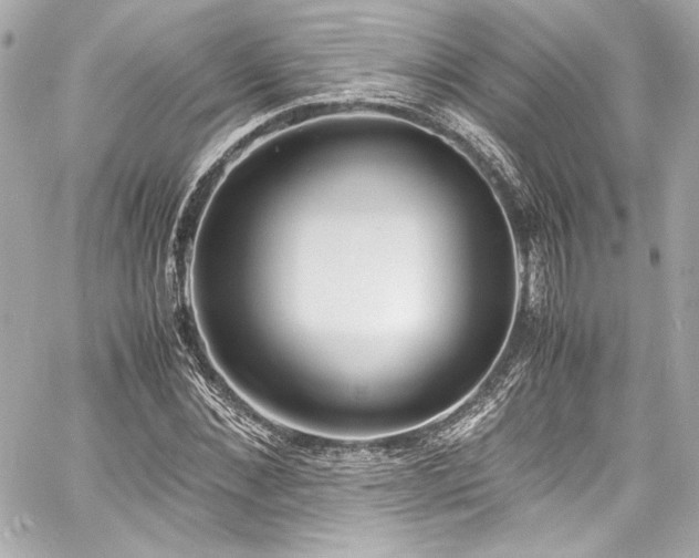 X0000060800876200511101416