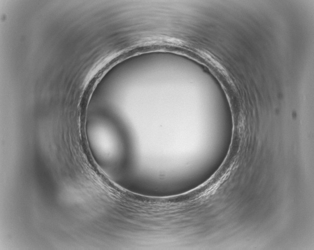 X0000060800877200511101416