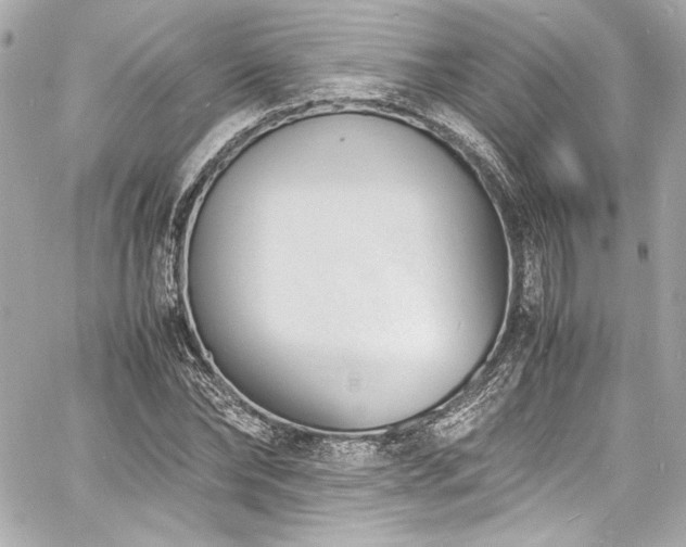 X0000060800878200511101416