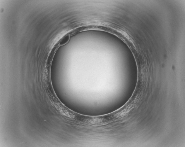 X0000060800879200511101416