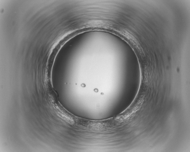 X0000060800880200511101416