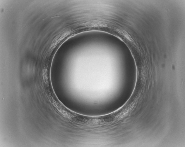 X0000060800881200511101416