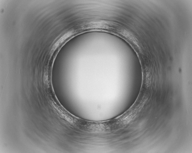 X0000060800882200511101416