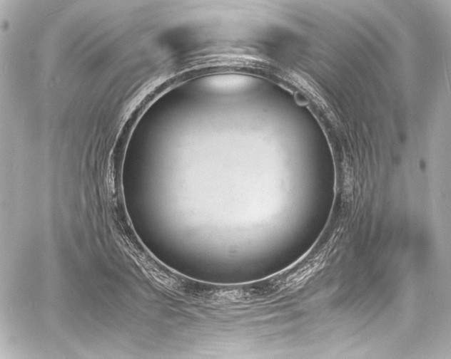 X0000060800883200511101416